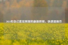 2025年自己套花呗现的最新教程，必须掌握的3种方法