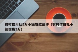 农村信用社5万小额贷款条件（农村信用社小额信贷5万）