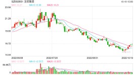 46.7亿增资高负债公司 钛白粉巨头龙佰集团为何频频青睐“不良标的”？