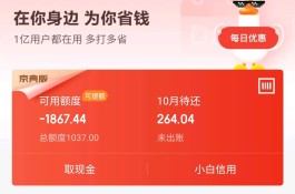 京东白条额度负数有影响吗(白条额度为负数后果)