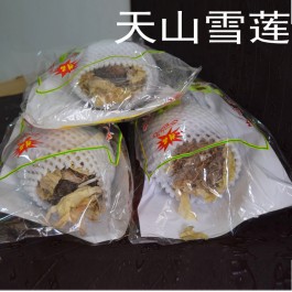 雪莲花泡酒方法(雪莲花泡酒有什么用处)