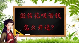 微信有类似花呗的业务吗(微信有类似于花呗的东西吗?)