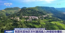 国家统计局：我国贫困地区农村居民收入持续较快增长