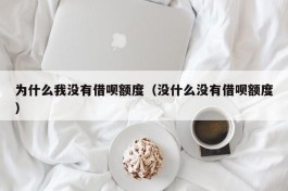 为什么我没有借呗额度（没什么没有借呗额度）