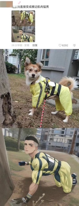 把狗画成肌肉男，“AI绘画离大谱”背后，谁在挣钱？