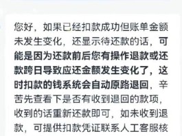 抖音月付提前还款技巧(抖音支付怎么提前还款)