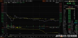 “侥幸”上市！康为世纪没有了核酸业务靠什么支撑42亿市值