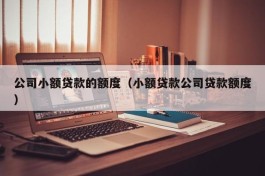公司小额贷款的额度（小额贷款公司贷款额度）