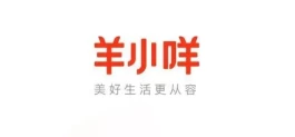 羊小咩额度怎么套出来，最详细的方法教程