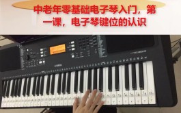 电子琴演奏技巧(电子琴演奏技巧视频教程)