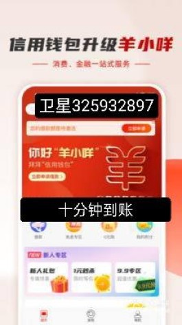 羊小咩消费额度怎么变现(羊小咩额度怎么套)