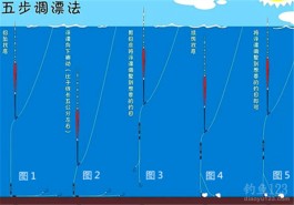 调漂技巧视频(钓翘嘴调漂技巧视频)