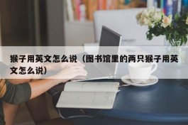 猴子用英文怎么说（图书馆里的两只猴子用英文怎么说）