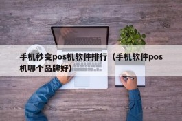 手机秒变pos机软件排行（手机软件pos机哪个品牌好）