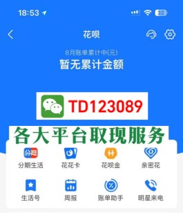 羊小咩额度怎样变现(羊小咩额度怎么用)