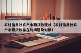 农村信用社农户小额贷款现状（农村信用社农户小额贷款存在的问题及对策）