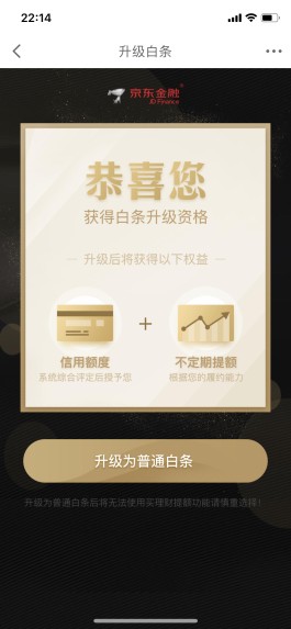京东白条是什么(京东白条是什么意思)