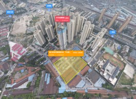 武汉第三批集中供地：41宗地2宗溢价成交，收金317亿元