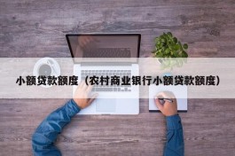 小额贷款额度（农村商业银行小额贷款额度）