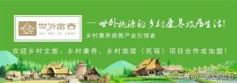 乡村振兴五大中心任务(试述乡村振兴五大中心任务及其主要内容)