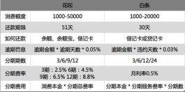 微信打白条和支付宝花呗一样吗(微信打白条支付是什么意思)