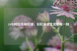24小时在线刷花呗，2025诚信商家集合