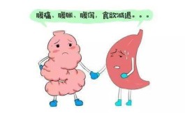 胃病的治疗方法(治疗胃病的偏方大全)