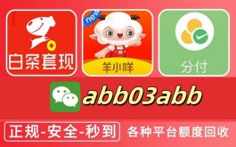 京东白条兑现(京东白条兑现商家)
