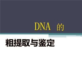 dna提取方法(真菌dna提取方法)