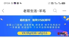 羊小咩发货(羊小咩发货中)