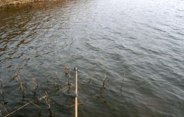 冬季水库钓鱼技巧(冬季水库钓鱼技巧与方法)
