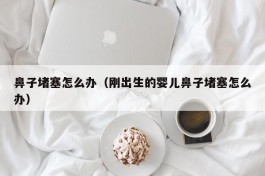 鼻子堵塞怎么办（刚出生的婴儿鼻子堵塞怎么办）