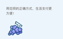 花呗的正确方式，生活支付更方便！