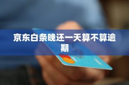 京东白条逾期8天会打家人电话吗(京东白条逾期9天会不会打有电话给朋友)