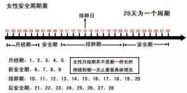 排卵期怎么算最准确(排卵期怎么测算)