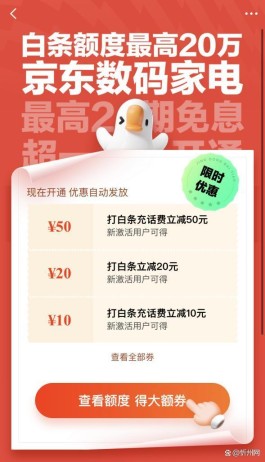 白条付款商家有费用吗(白条向商家付款是怎么回事)