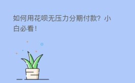 如何用花呗无压力分期付款？小白必看！