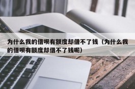 为什么我的借呗有额度却借不了钱（为什么我的借呗有额度却借不了钱呢）