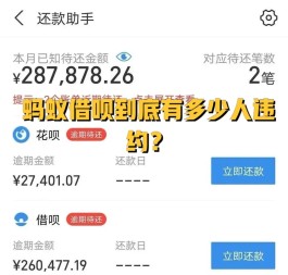 支付宝花呗借呗能申请延期吗(支付宝花呗借呗能申请延期吗还款吗)