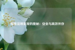 如何安全高效地进行花呗套出来？本文将带您一探究竟。