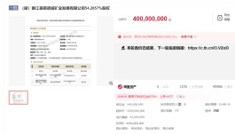 22分钟达4亿封顶价！“天价锂矿”争夺战再度拉开帷幕