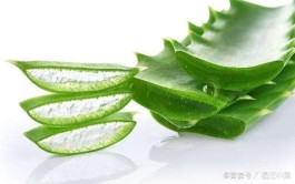 排毒祛痘的好方法(排毒祛痘吃哪种药最管用)