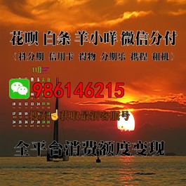 商家怎么开通白条支付(商家怎么申请白条闪付收款)