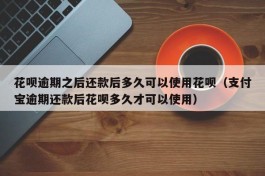 花呗逾期之后还款后多久可以使用花呗（支付宝逾期还款后花呗多久才可以使用）