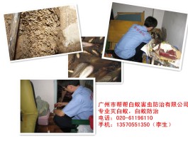 白蚁防治方法(白蚁防治方法及药物)