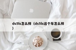 ds5ls怎么样（ds5ls这个车怎么样）