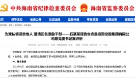 海南通报"市委书记遭诬告事件"