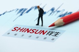 祥生控股：诸暨市一项目或成为绍兴房地产稳保基金潜在受益人