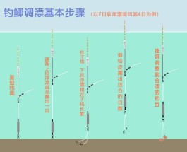 调漂方法图解(跑铅调漂方法图解)