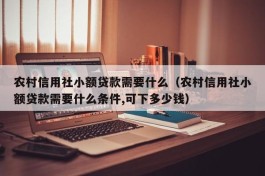 农村信用社小额贷款需要什么（农村信用社小额贷款需要什么条件,可下多少钱）